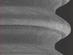 Photo: Surface de l'implant poreux