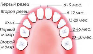Photo: Conditions de dentition des dents de bébé